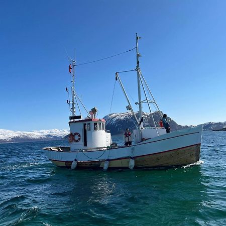 Apartament Maribell Sjobuer As Tromsø Zewnętrze zdjęcie